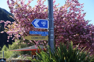 No Exit from Cemetery